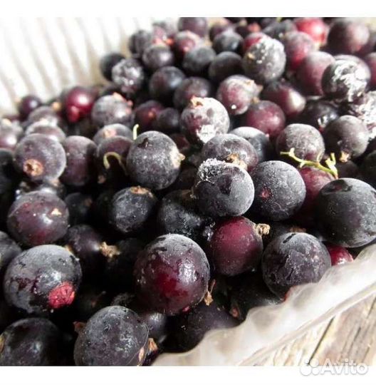 Смородина черная мороженная,клюква, брусника