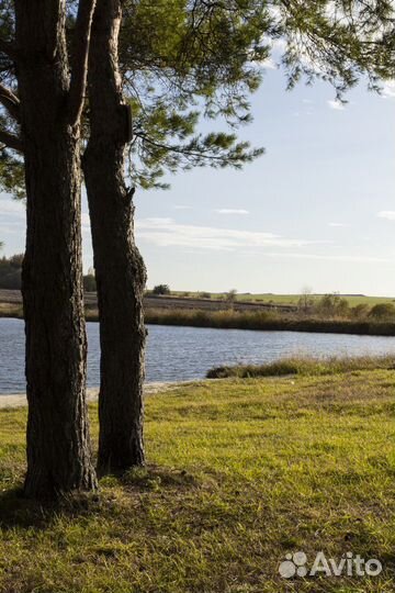 Аренда беседки