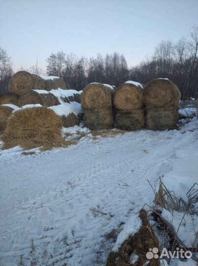 Сено луговое в тюках
