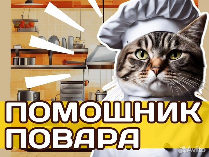 Помощник повара