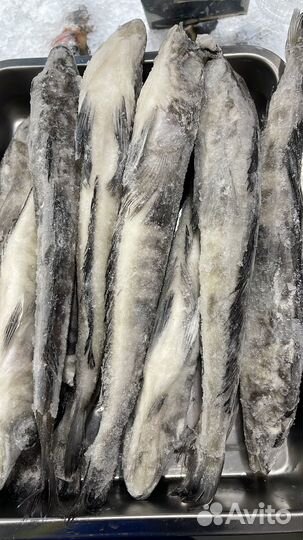 Филе лосося(семги) Чили / Лядяная