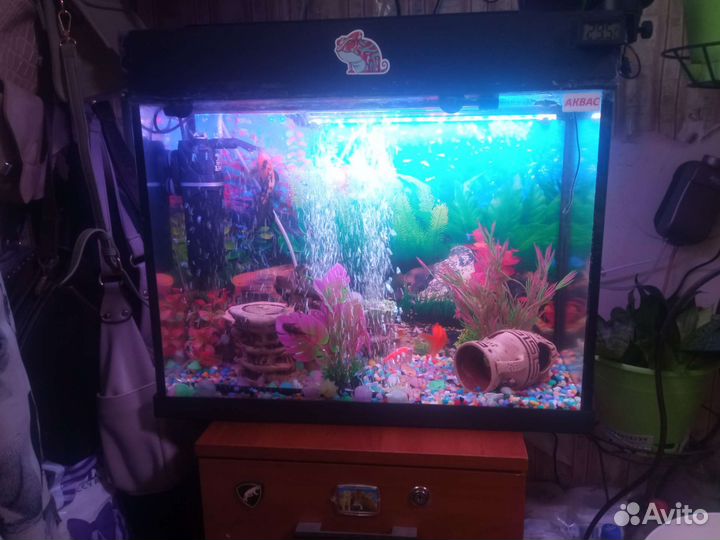 Аквариум 60л