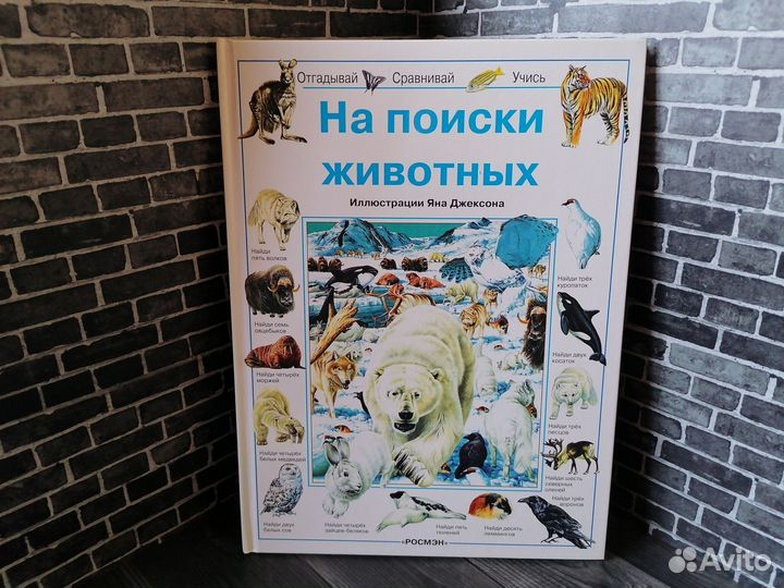 На поиски животных (Росмэн 1998 год)