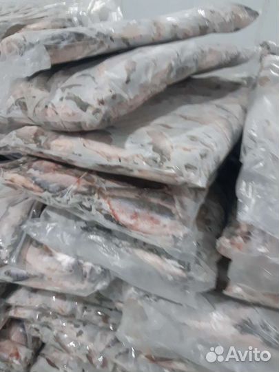 Пелядь(сырок)