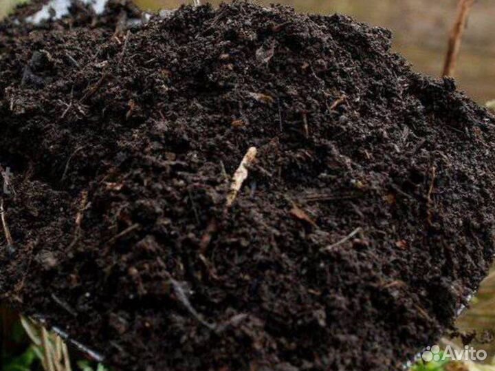 Земля плодородная