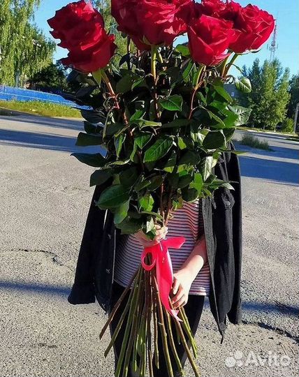 Высокие розы Гигантские розы Доставка цветов