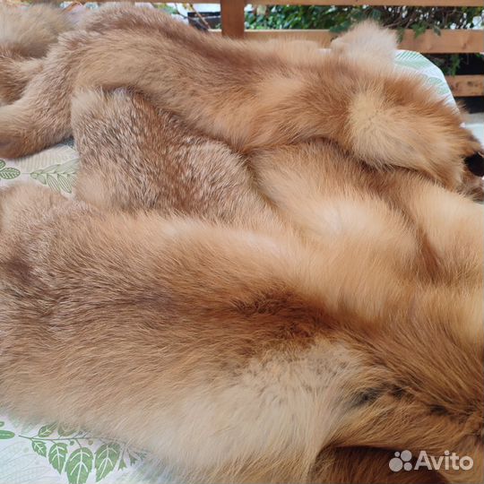 Лисья шкура