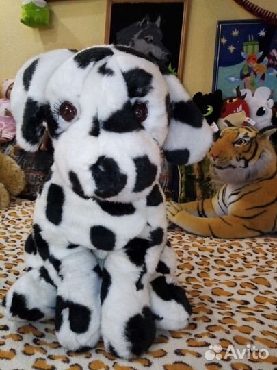 Собака далматин