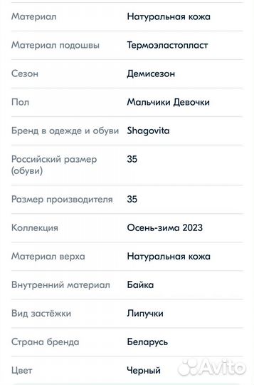 Ботинки демисезонные для мальчика