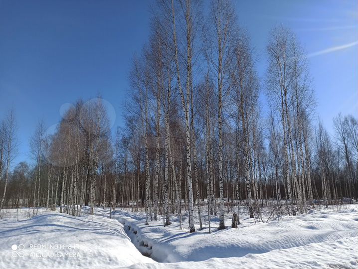 Участок 100 сот. (ИЖС)