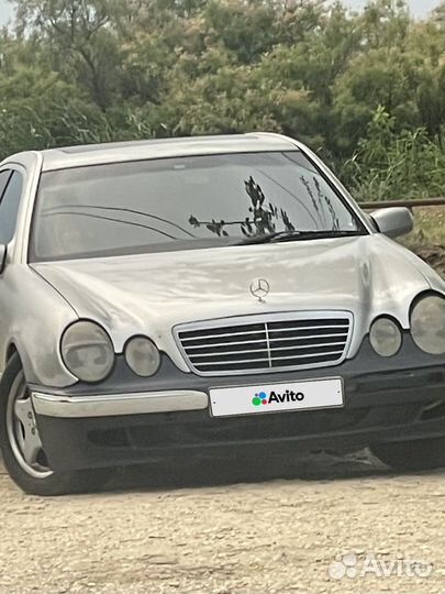 W210 очкарик