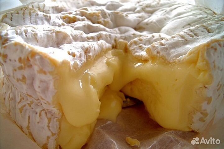 Сыр моцарелла маскарпоне бри и другие