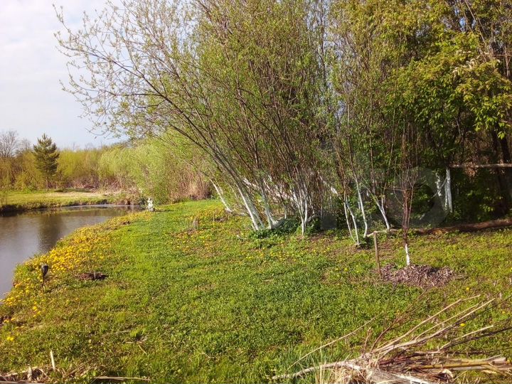 Участок 31,5 сот. (ИЖС)