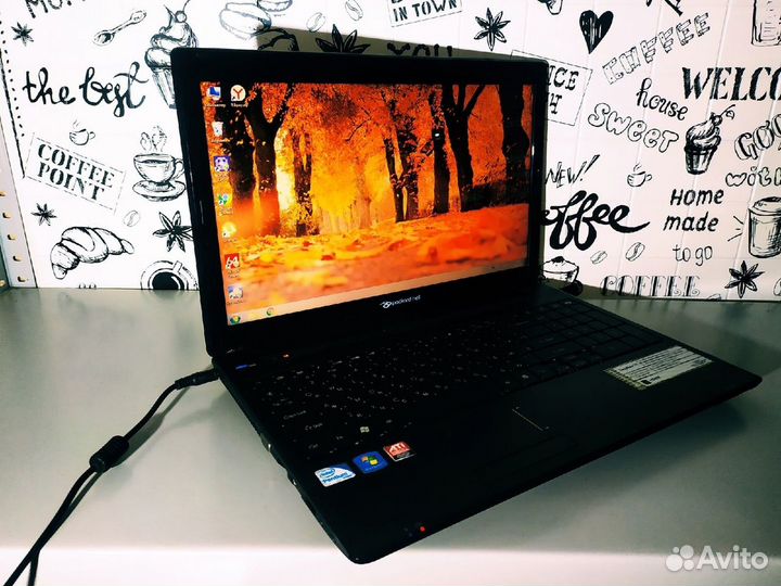 Packard Bell Pew91 - Core i3 \ 4 Озу \ 512 Видео \