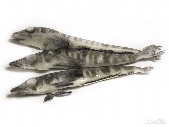 Предлагаю рыбу и морепродукты оптом и в розницу