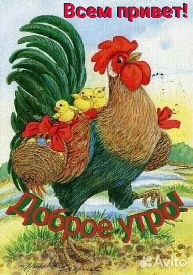 Инкубационное яйцо