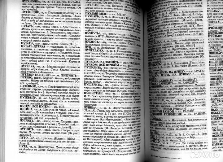Словарь 1000-летнего русского тюремного языка