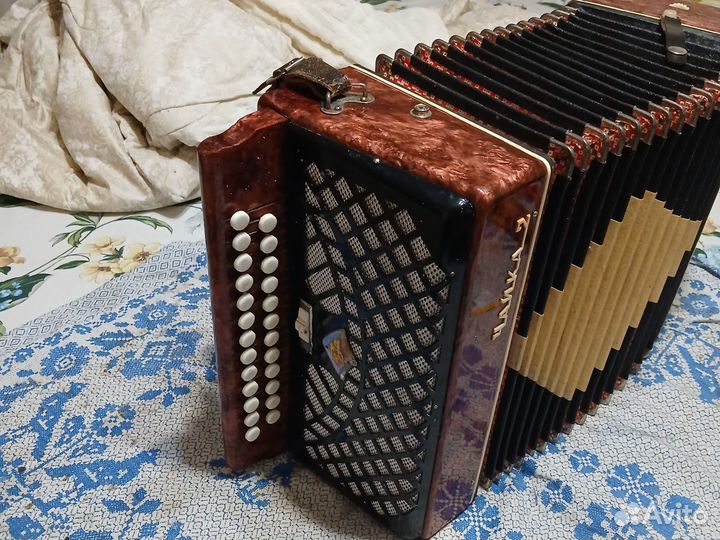 Гармонь чайка 2