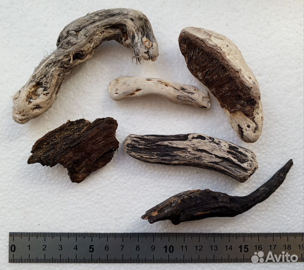 Коряги для аквариума