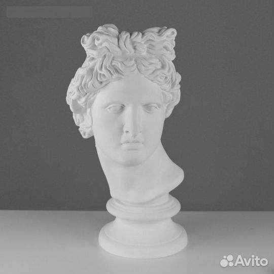 Гипсовая фигура Голова Аполлона Бельведерского, 25