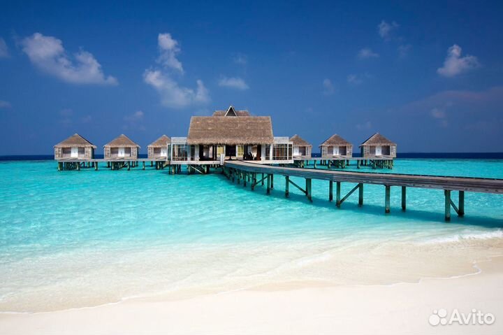 Тур на Мальдивы от 1-го чел