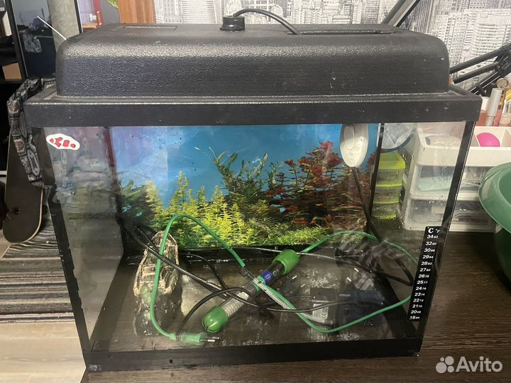 Аквариум 25 л