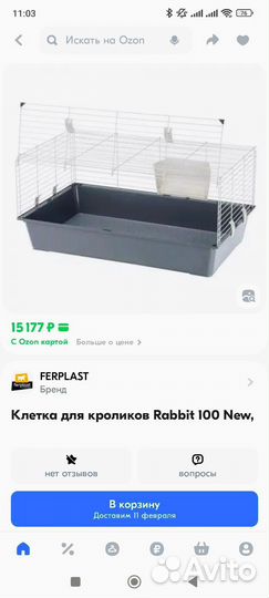 Шиншилла с клеткой