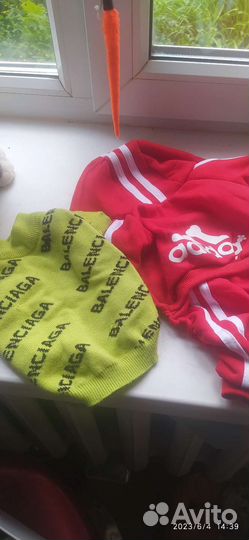 Одежда для маленькой собаки или для кошки