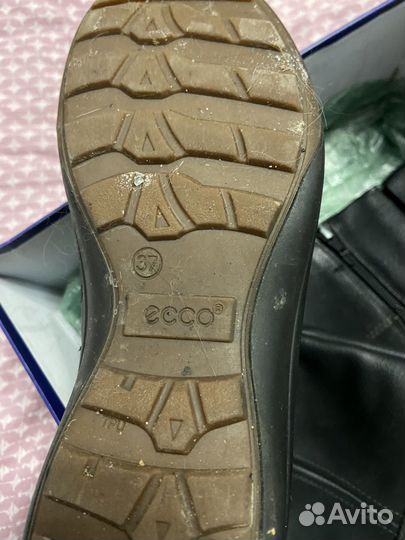 Сапоги женские зимние натуральная кожа