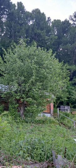 Дом 40 м² на участке 4 сот.