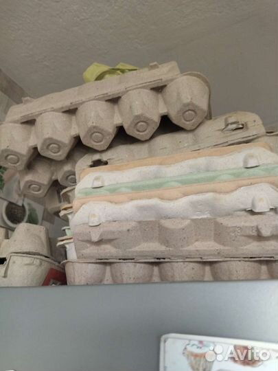 Ячейки для яиц