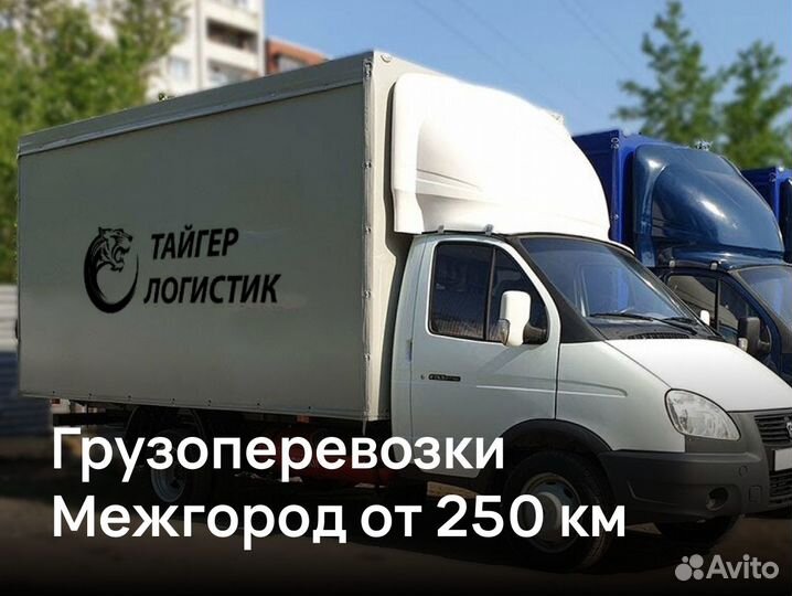 Грузоперевозки 3 тонны