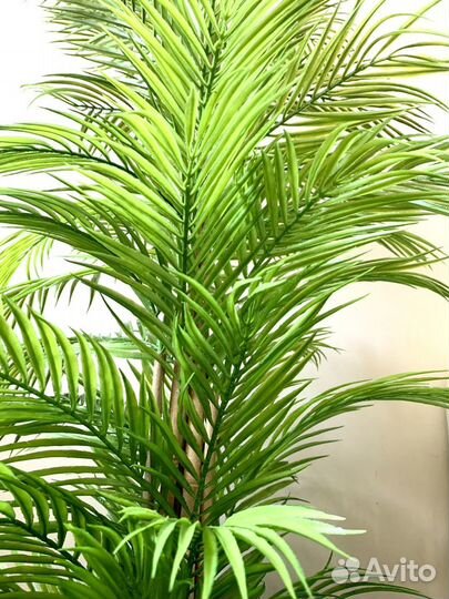 Искусственное дерево пальма,фикус,магнолия