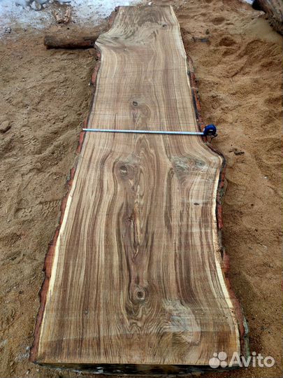 Слэб дерева дуб