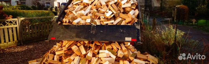 Дрова осиновые колотые