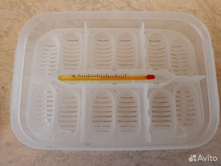 Инкубатор для рептилий