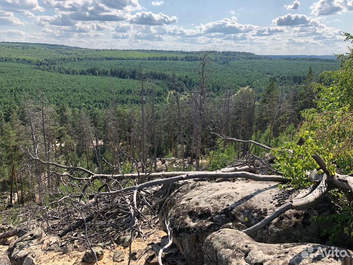 Автобусный тур