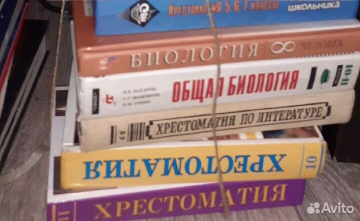 Словари и энциклопедии