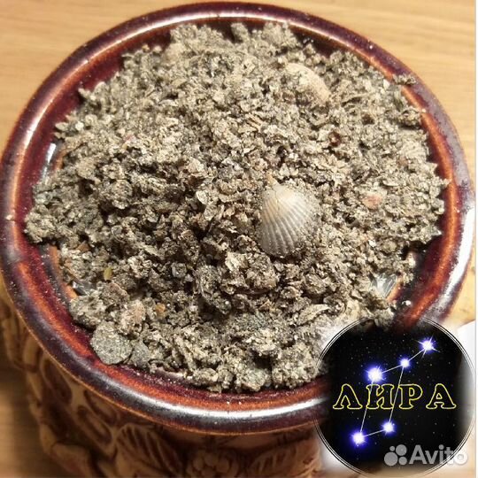 Ракушка кормовая серая(дробленная)