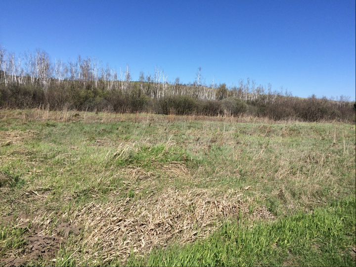 Участок 15 сот. (ИЖС)