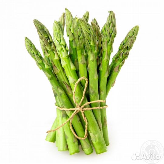Спаржа свежая