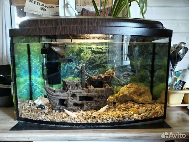 Аквариум