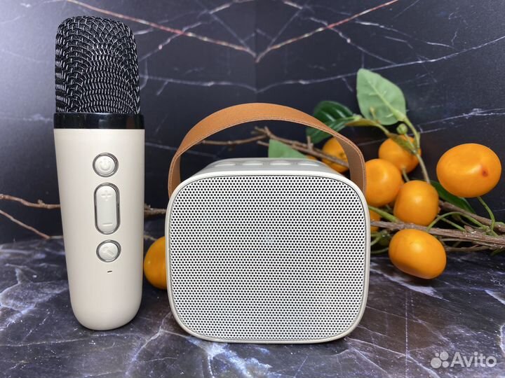 Караоке микрофон с колонкой
