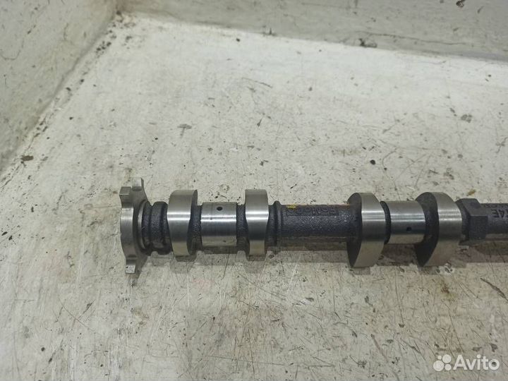 Распредвал выпускной Форд