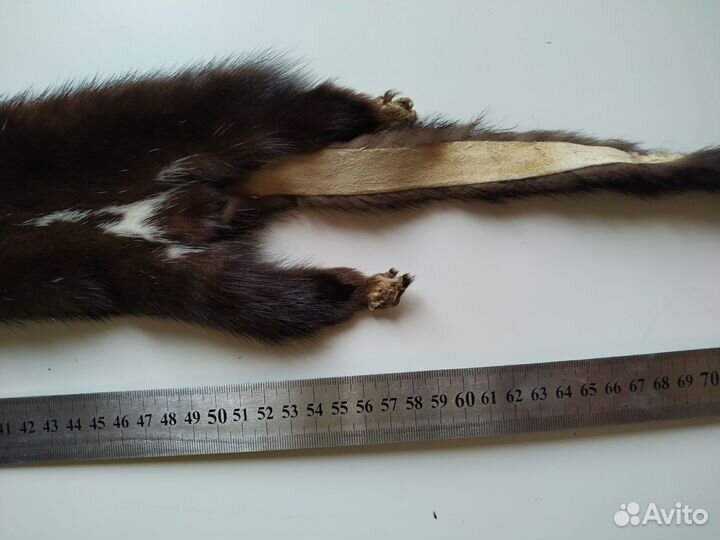 Шкурки норок, 3шт. 1-я из 3-х