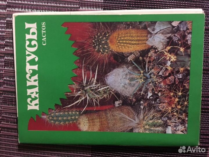 Открытки набор Кактусы