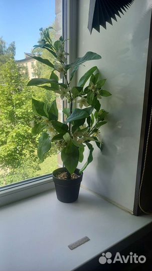 Цветы искусственные (3 вида)