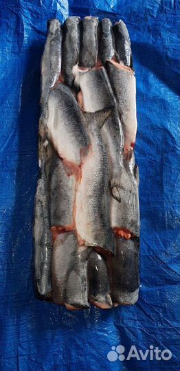 Горбуша пбг 1 сорт блочн. морож. глазир. 1/22 кг