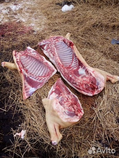 Мясо свинина