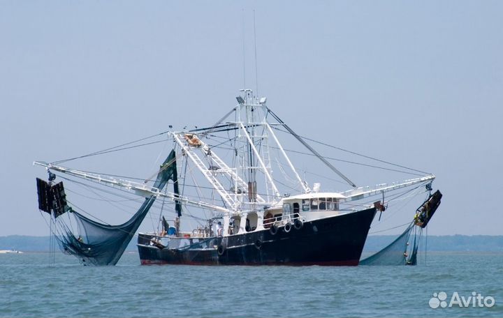 Инвестиции в рыбодобывающую продукцию